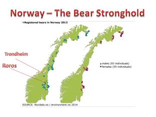 bear strongholds